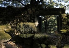 Consolidación y recuperación de ruinas.