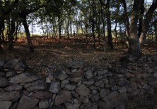 Patrimonio natural y cultural.