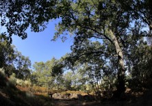 Naturaleza en su expresión más espontánea.