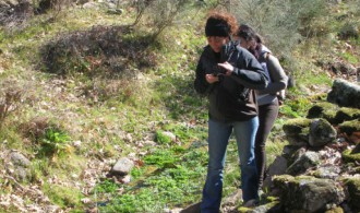 VISITA AL PROYECTO