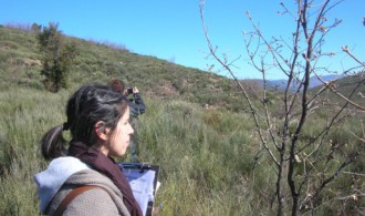 VISITA AL PROYECTO