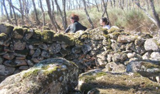 VISITA AL PROYECTO