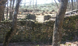 VISITA AL PROYECTO