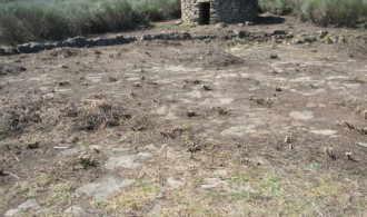 VISITA AL PROYECTO
