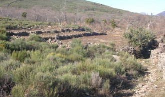 VISITA AL PROYECTO