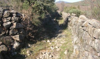VISITA AL PROYECTO