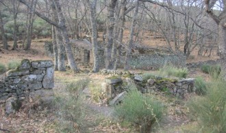 VISITA AL PROYECTO