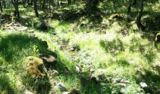 Realización de inventario de flora y fauna