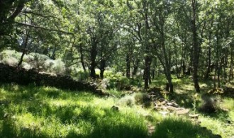 Realización de inventario de flora y fauna