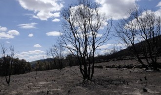 Incendio Sierra de Gata