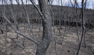 Incendio Sierra de Gata